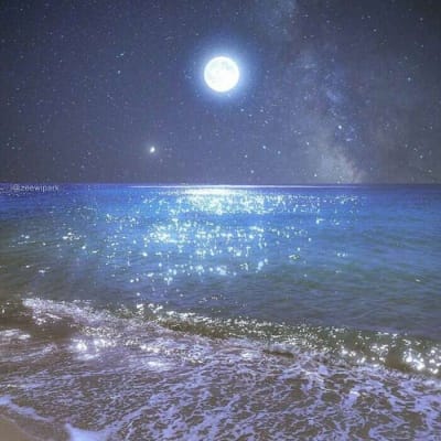 Alex Gonzaga avatar